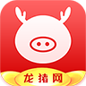 龙猪网手机软件app