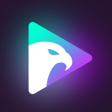 光鹰视频最新版手机软件app