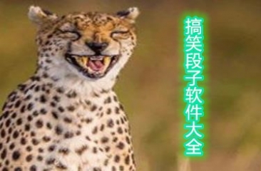 搞笑段子软件大全