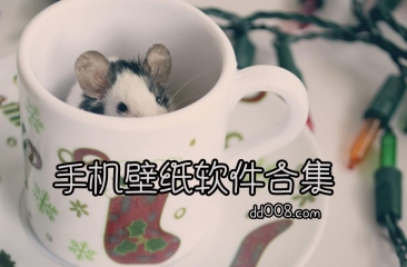 手机壁纸app合集