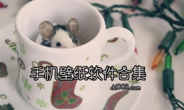 手机壁纸app合集