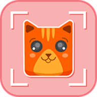 猫脸相机手机软件app