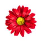 鲜花直播vip和谐版手机软件app