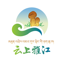 云上雅江手机软件app