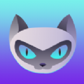 夜猫体育手机软件app
