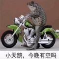 抖音癞蛤蟆小天鹅给个机会表情包手机软件app
