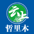 云上哲里木手机软件app