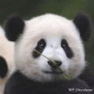 小喜小熊手机软件app