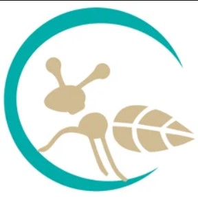 浪磊手机软件app