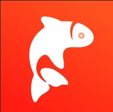 飞鱼优品手机软件app