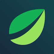 bitfinex
