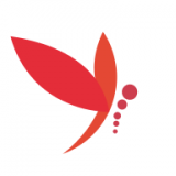 蜻蜓主播手机软件app