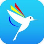 蜂鸟影视手机软件app