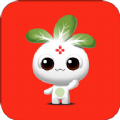 花小诺手机软件app