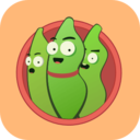 豆角网手机软件app