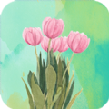 高清氧气壁纸手机软件app
