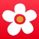 布米米手机软件app