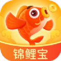 锦鲤宝手机软件app