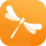 蜻蜓单词手机软件app