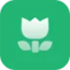 森绿绘本手机软件app