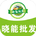 晓能批发手机软件app