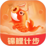 锦鲤计步手机软件app