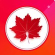 红叶直播平台手机软件app