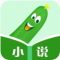 丝瓜小说无广告版手机软件app