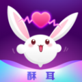酥耳手机软件app