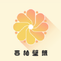 小小壁纸手机软件app