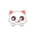 DIY与壁纸手机软件app