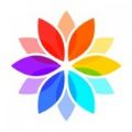 手机动态壁纸手机软件app