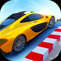 汽车顶级特技大师手游app