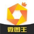 微图王手机软件app