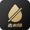 白云视频去水印手机软件app