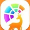 希鹿生活手机软件app