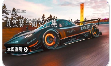 真实赛车游戏合集
