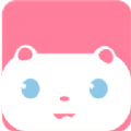 次元猫壁纸馆手机软件app