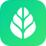 SGreen浏览器