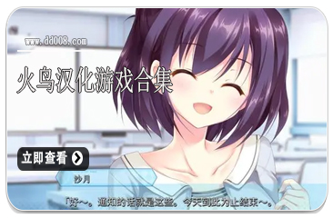 火鸟汉化游戏合集