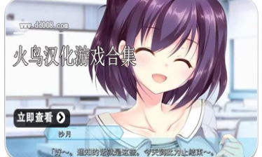 火鸟汉化游戏合集