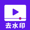 流年去水印手机软件app
