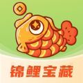 锦鲤宝藏手机软件app