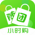 随团手机软件app