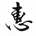 惠风书法手机软件app