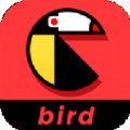 鸟窝视频手机软件app