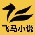 飞马小说手机软件app