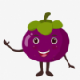 山竹视频旧版安装手机软件app