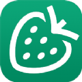 草莓记账本手机软件app