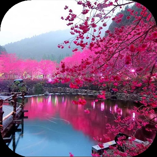 梦幻风景动态壁纸手机软件app